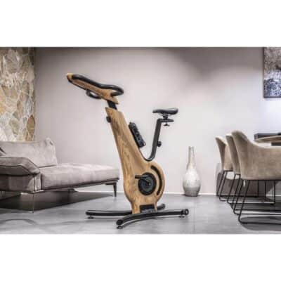 Nohrd Upright Exercise Bike in a room