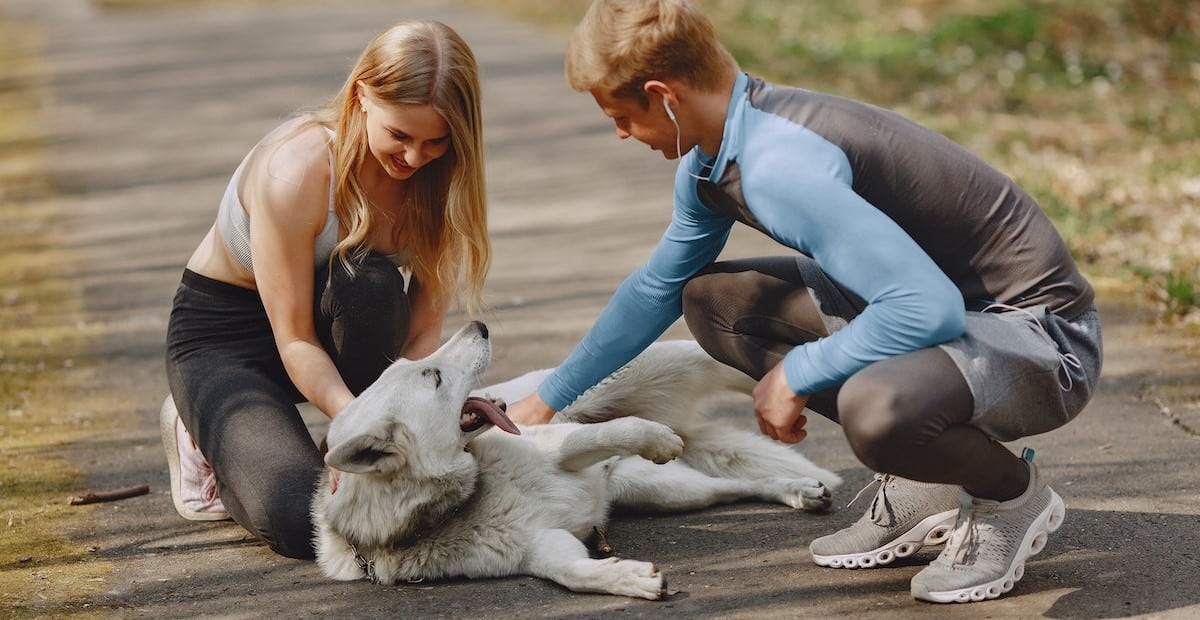 How to run with your dog - main image